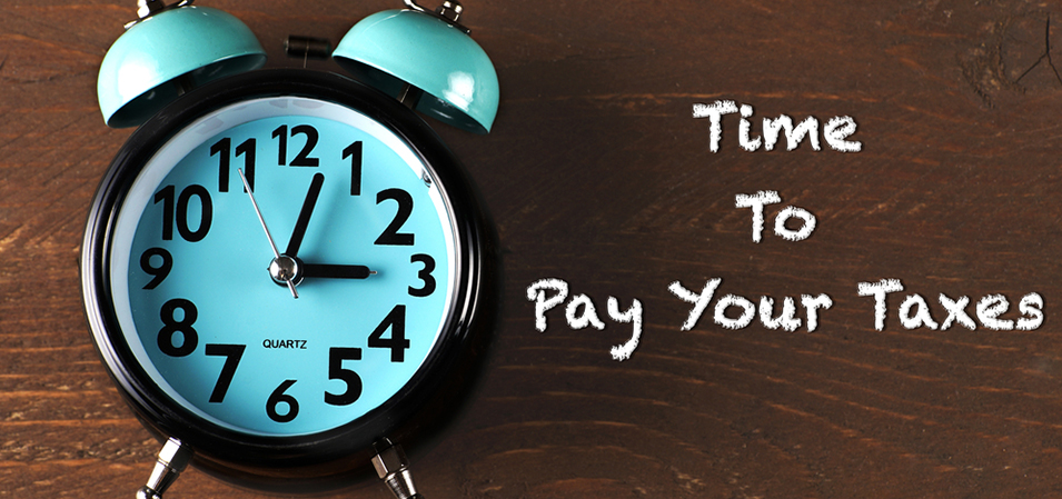 Dividend payout alternative does now not give any tax benefit 1