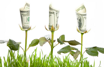 Experts say ninety five% of money advice focuses on the wrong component 1